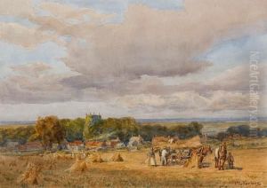 Harvesting At Brancaster