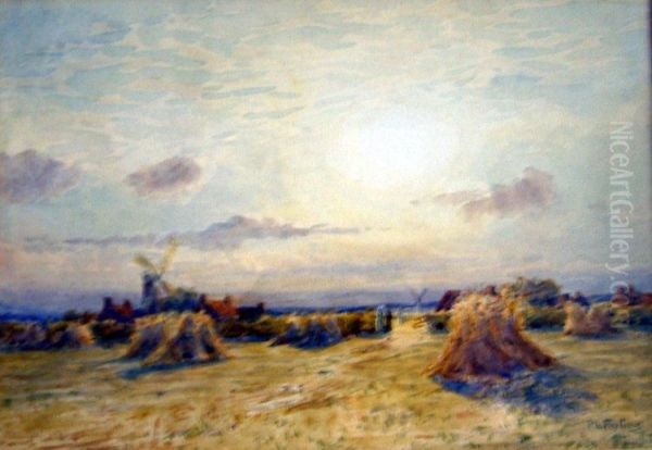 Cornfield With Windmills Beyond - view 1