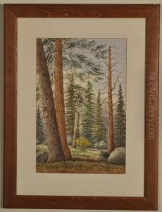 Depicting A High Country Landscape Probably Santa Barbara Vicinity by Henry Chapman Ford