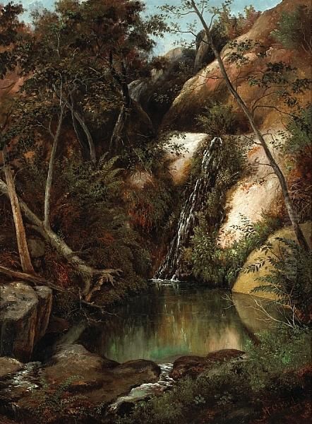 Trickling Waterfall - view 1