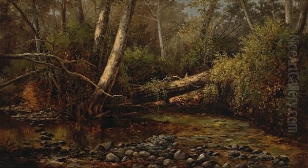 A Quiet Stream - view 1