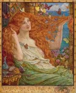 Venus's Fly Trap by Henry Justice Ford