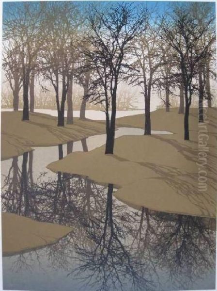 Shadows - view 1