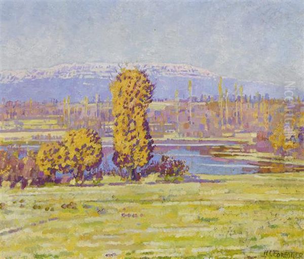 View Of The Saleve. - view 1