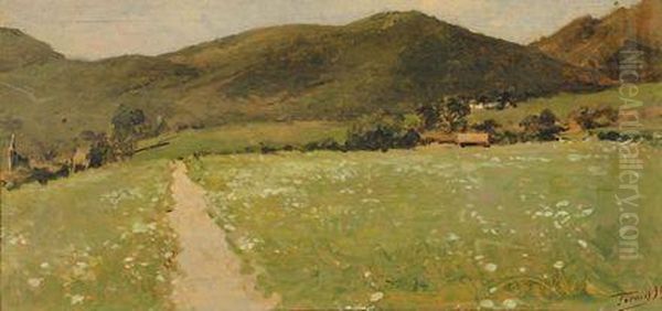 Paesaggi - view 1