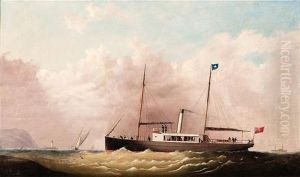 Ss. Huon Of The Iron Pot, Tasmania