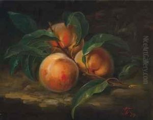 Still Life With Peaches Still Life With Peaches
