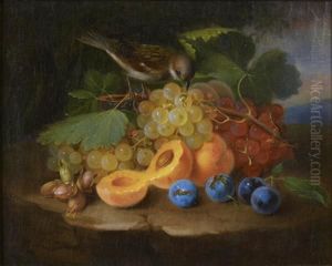 Nature Morte Aux Raisins, Abricots, Quetsches, Noisettes Et Oiseau Nature Morte Aux Raisins, Abricots, Quetsches, Noisettes Et Oiseau
