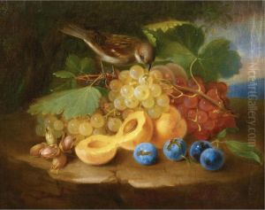 Still Life With Fruits And Birds