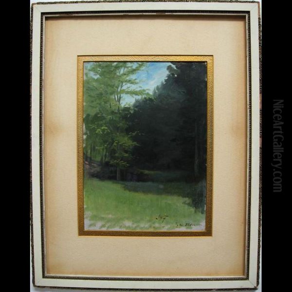 1/2 Hour Sketch (forest Edge) - view 1