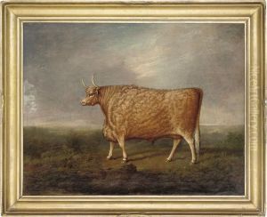 A Prize Longhorned Bull by Joseph Wilson Forster