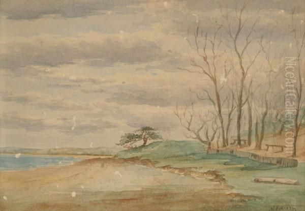 Lakeside Landscape - view 1