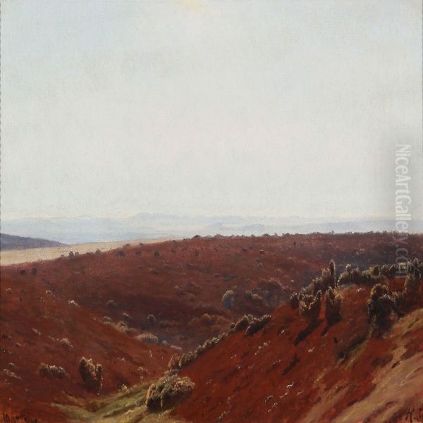 Jutlandic Landscape - view 1