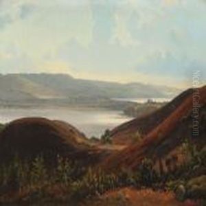 Landscape From Salten Langso