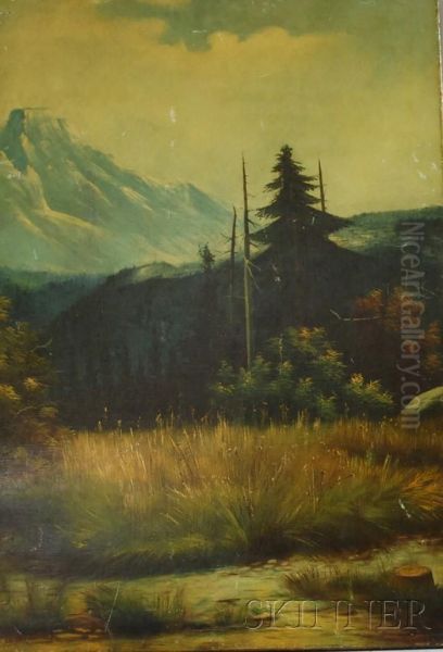 Mountain Scene - view 1