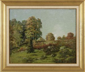 Moonlit Meadow
