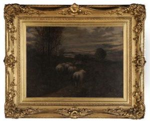 Flock Of Sheep At Dusk