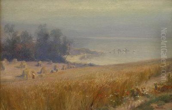 Harvest Fields Above Sandsend Whitby - view 1