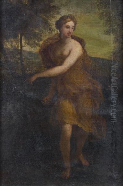 Nymphe Chasseresse - view 1