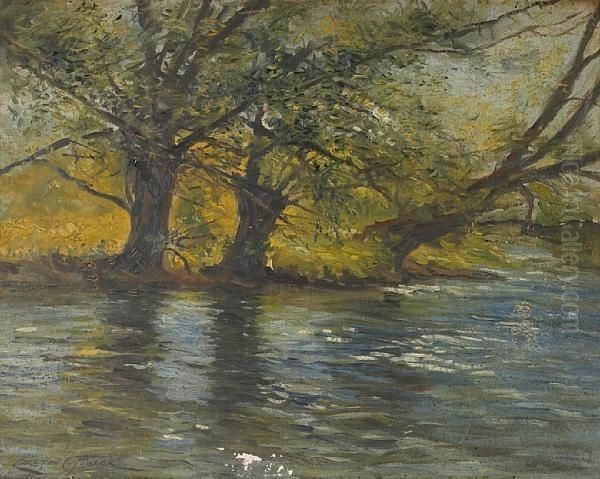 A Berkshire Brook - view 1