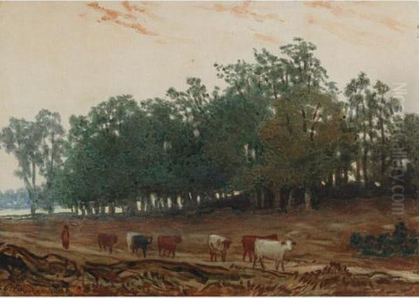 Returning Home, Cattle On A Woodland Path - view 1