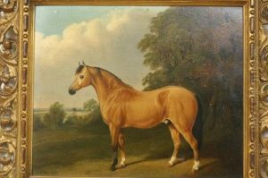 Study Of A Dun Arab Cob In A Landscape