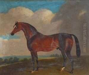 Bay Hunter In A Landscape