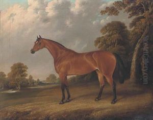 A Chestnut Hunter In A Landscape