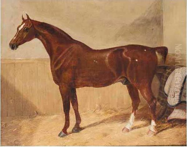 Hunter In Stable - view 1