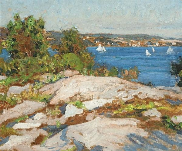 View From Cremorne Point - view 1