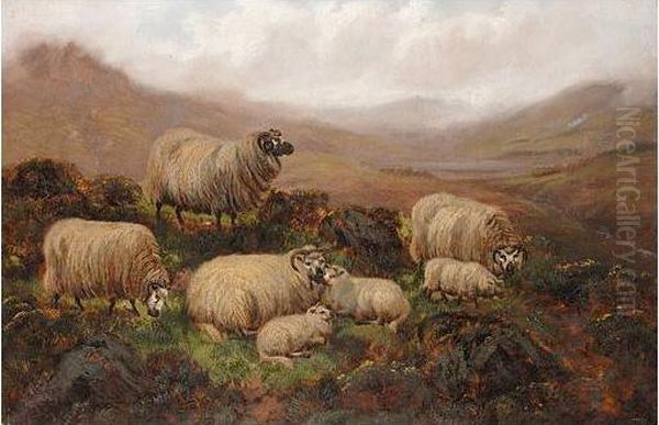 Sheep In The Highlands - view 1