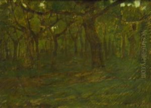 Bosco by Pietro Fragiacomo