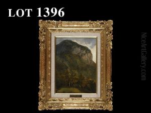 Landscape Landscape