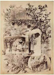 Les Marches Aux Fleurs, Les Fleurs D'hiver, Circa 1889 by Gustave Fraipont