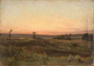 Paysage De Landes Au Soleil Couchant Paysage De Landes Au Soleil Couchant