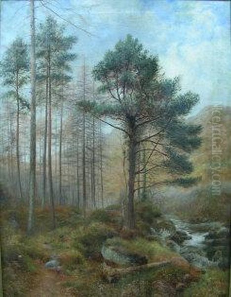 River Landscape With Pine Trees - view 1