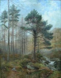 River Landscape With Pine Trees