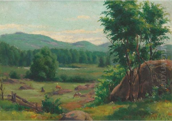 Pasture With Grazing Cattle - view 1