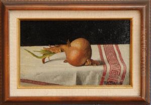 Still Life With Onion Ontablecloth by John Francis