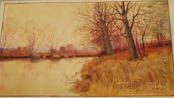 Late Autumn Stream - view 1