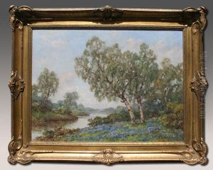 Bluebells