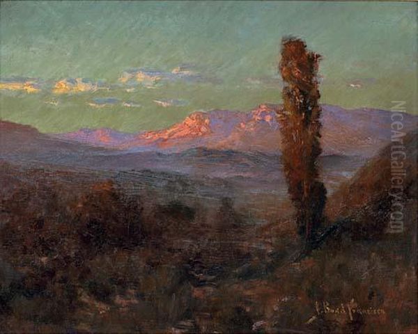 Desert Sunset, New Mexico - view 1