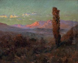 Desert Sunset, New Mexico by John Bond Francisco