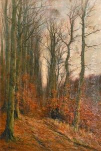 Sous Bois En Automne.
