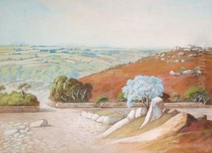 African Landscapes, A Set Of Ten by Leo Francois