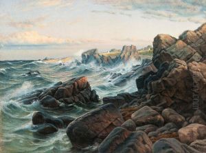 Rocks On The Shore