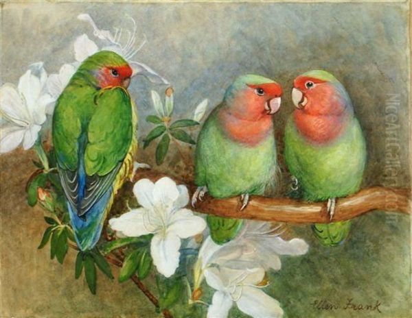 Three Parakeets Perched On A Flowering Branch - view 1