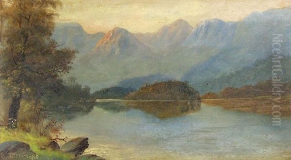 Mountainous Lake View With Tree To Bank - view 1