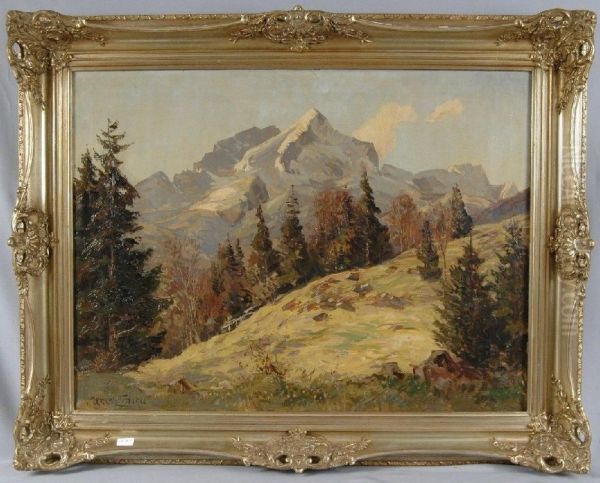 Gebirgslandschaft - view 1