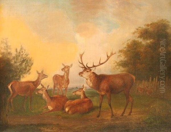 Hirsch Und Rehe - view 1